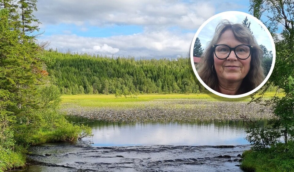 Ta en fisketur til Snåsavannet og besøk det nye sørsamiske museet og kultursenteret