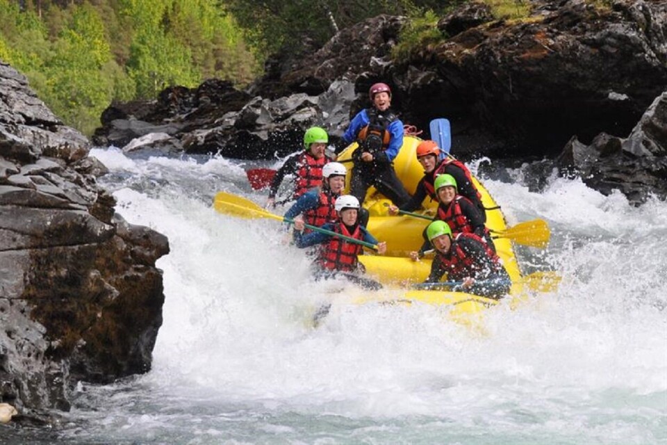 Besøk høyfjellsstranda Rauøra ved Gjevildvatnet og opplev moskussafari eller rafting i elva 'Driva'