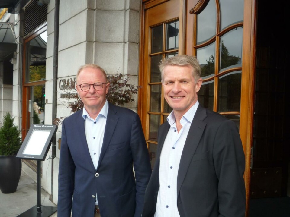 Optimistiske hotelleksperter