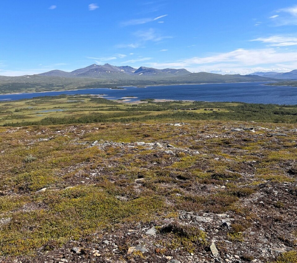 Gå en fjelltur i fantastisk vakre Sylan, en rib tur på Nesjøen, og ri på islandshester