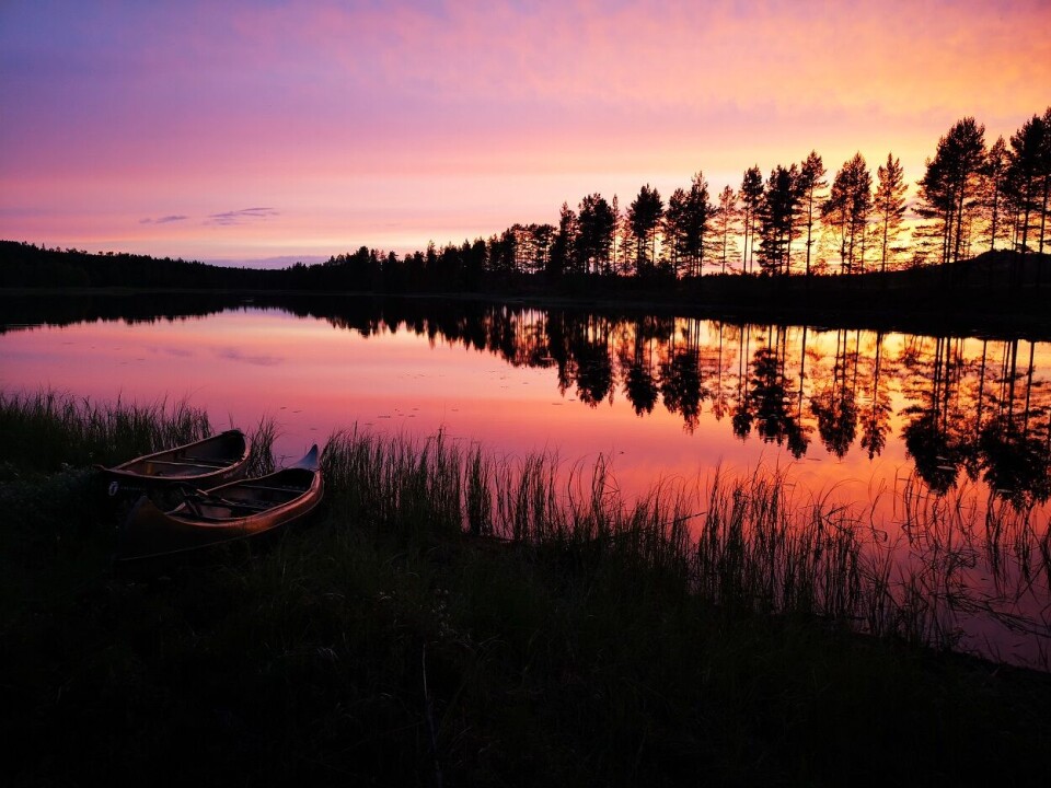 Fantastiske naturopplevelser i Finnskogen og ta en padletur på Kynna.