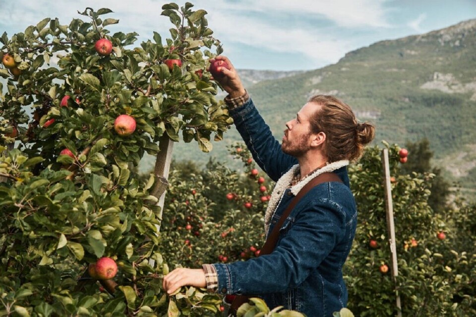 Sprudlende folkefest og Sider VM i Bergen