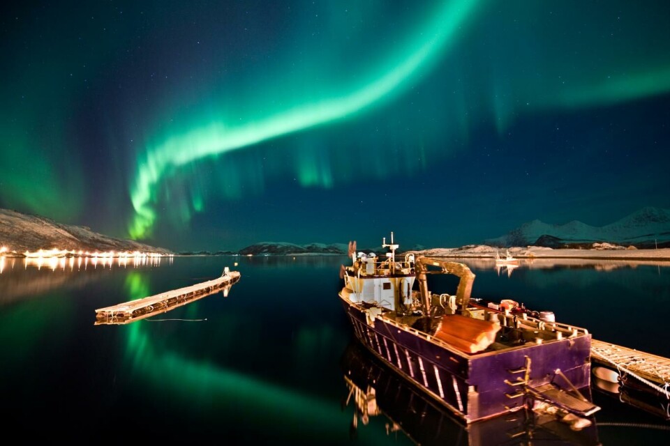Nordlyset er den store magneten som trekker utenlandske turister til Nord-Norge om vinteren.