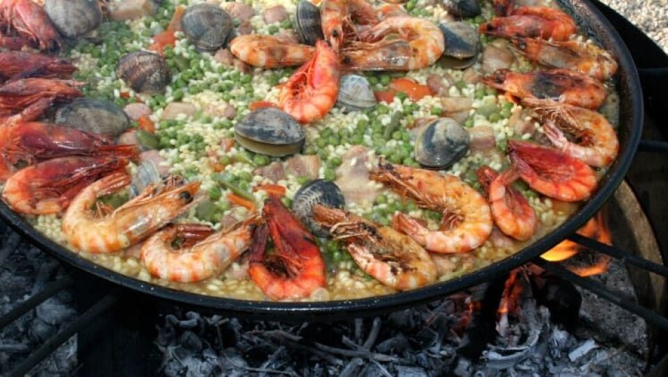 Verdens paelladag