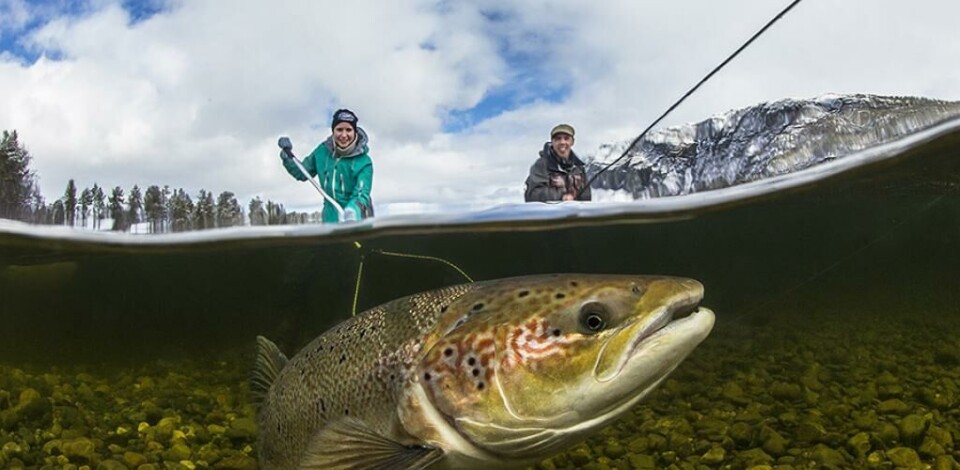 Ny rekordpris for fiske i Alta på Villaksauksjonen
