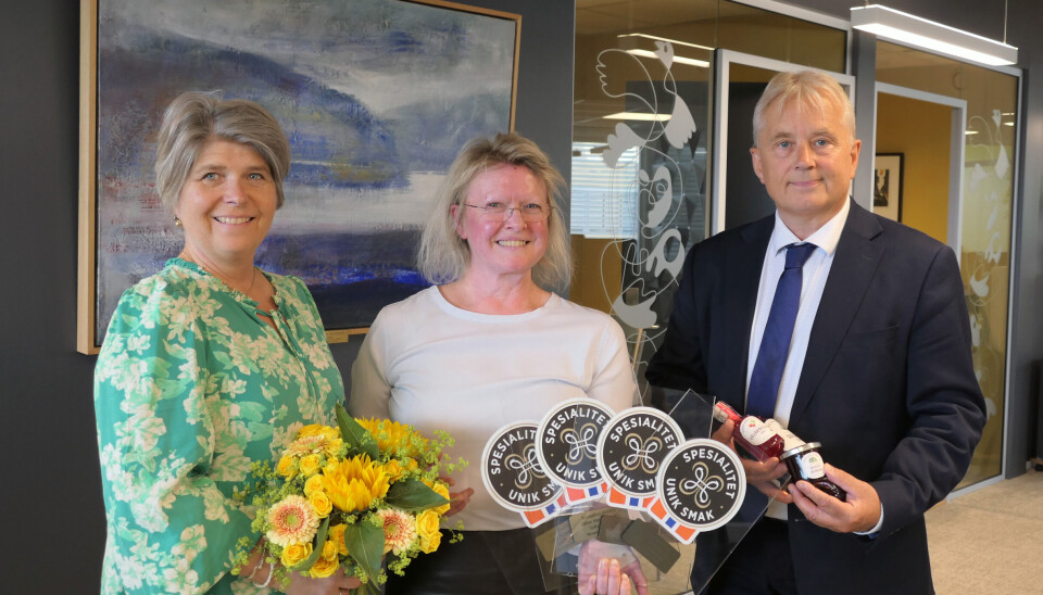 F.v. Nina Sundqvist, direktør i Stiftelsen Norsk Mat, Anne Aamodt fra Ebbas Matgleder og statsforvalter Knut Storberget. F.v. Nina Sundqvist, direktør i Stiftelsen Norsk Mat, Anne Aamodt fra Ebbas Matgleder og statsforvalter Knut Storberget.