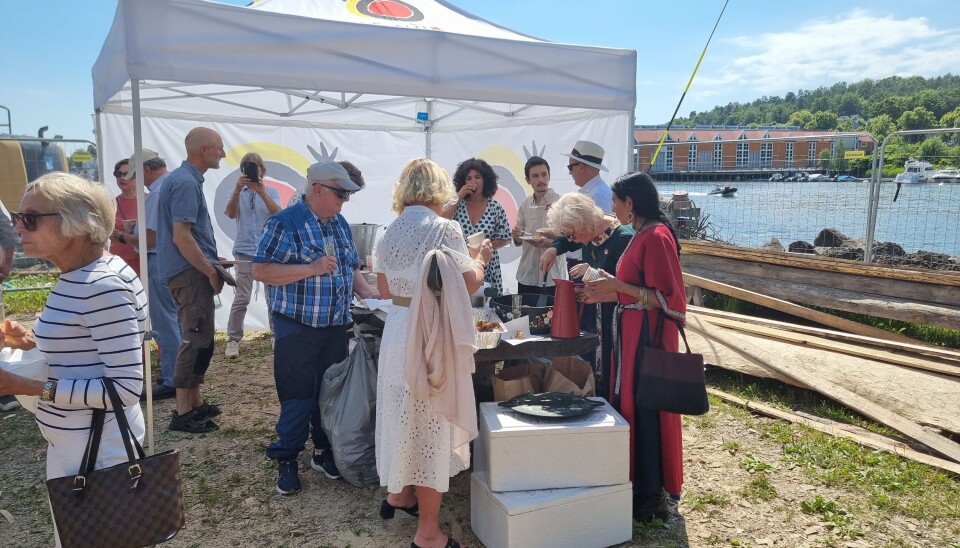 Utstillingen på Vikingodden på bryggen i Tønsberg, skal stå frem til 29.august.