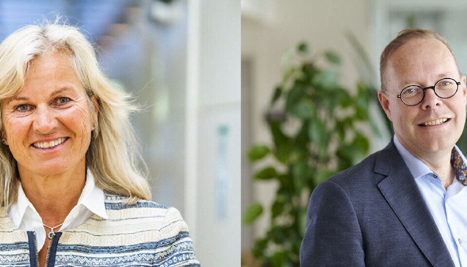 Det blir kanskje nedleggelse av reiselivsutdanning ved UiS fra NHO Reiseliv og Virke Reiseliv. Dette bekymrer artikkelforfatterne