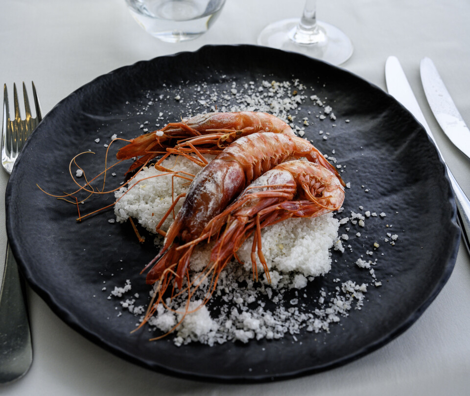 Gambas rojas, lokal delikatesse i Alicante.