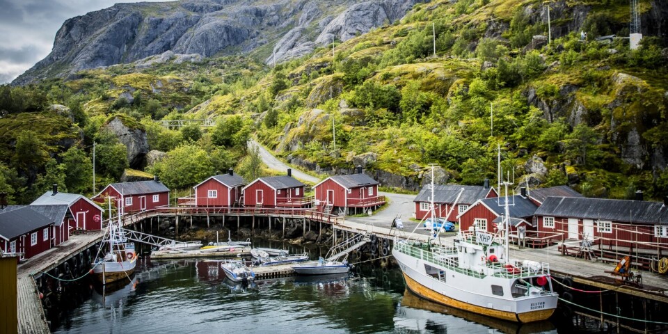 Renaa skal ha en gjesteopptreden i Nusfjord i sommer.