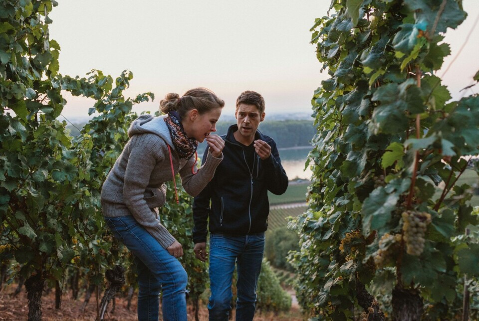 Lisa Bunn og Bastian Strebel har drevet vingården Bunn Strebel i Nierstein siden 2011.