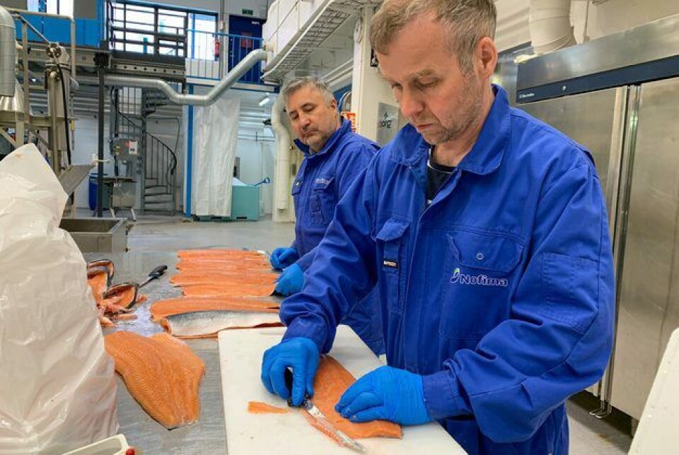 Nofima-forskerne Stein Harris Olsen og Torbjørn Tobiassen tar i bruk ulike metoder for å vurdere pukkellaksens mategenskaper.