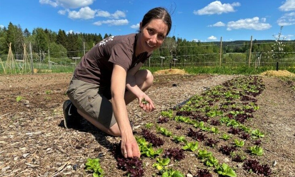 – Dette er svært skuffende