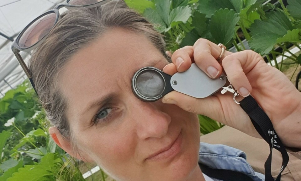 Hvem vinner Norges Vels Gründerpris?