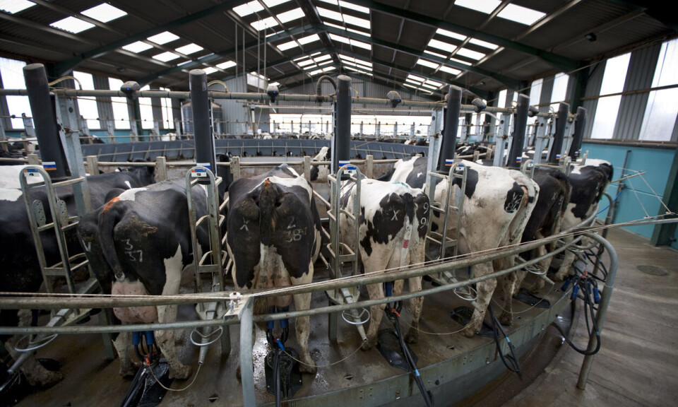 Egenberedskapen i norsk landbruk holder ikke mål