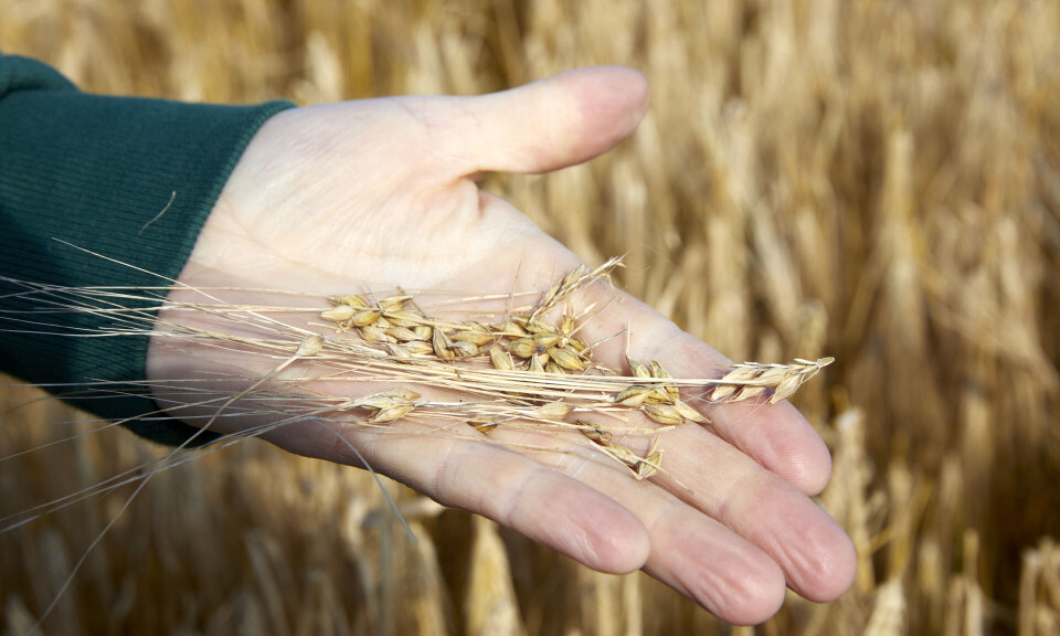 Nordmenn får øynene opp for bygg