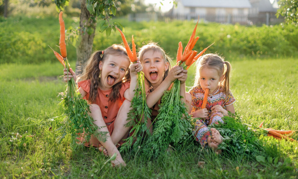 Historisk nasjonal konferanse for flere skolehager i Norge