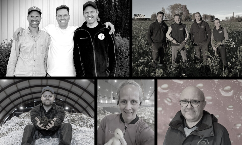 Dette er superfinalistene